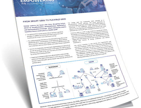 derms-overview-brochure
